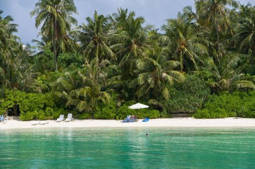 einen Strand mit Palmen, Stühlen und einem Sonnenschirm in der Unterkunft Oceana Inn Maldives in Kudahuvadhoo