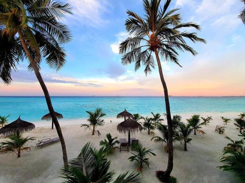een uitzicht op een strand met palmbomen en de oceaan bij Oceana Inn Maldives in Kudahuvadhoo