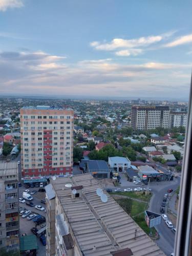 - une vue sur la ville depuis un bâtiment dans l'établissement Джал Артис, à Bishkek