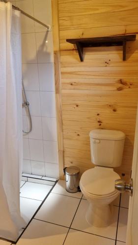 a bathroom with a toilet and a shower at Cabaña en Llifen in Futrono