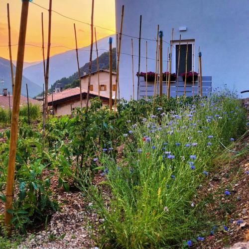 Φυσικό τοπίο κοντά σε αυτό το bed & breakfast