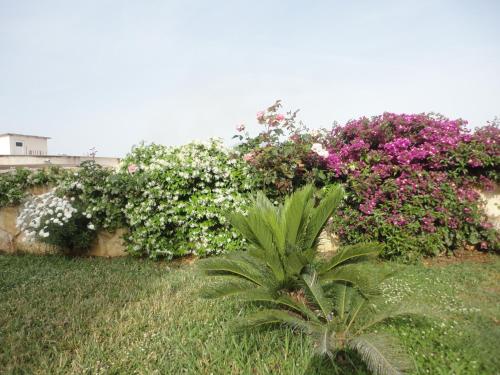 Un jardín fuera de Oruci Apartments