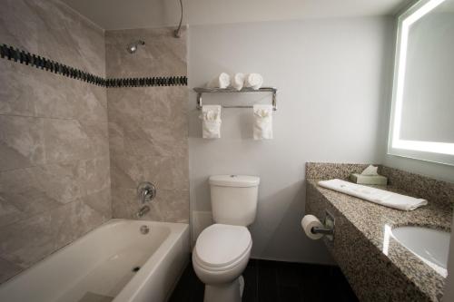 a bathroom with a toilet and a tub and a sink at Envi Boutique Hotel Henderson-Evansville South in Henderson