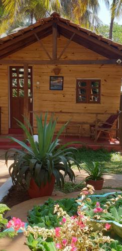 Zahrada ubytování Shiva Cottages