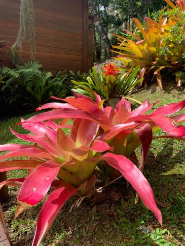 Un jardín fuera de Le Nirvana - Oasis de Tendéa - Farino