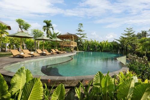 una piscina in un resort con sedie e ombrelloni di TheWakanda Resort A Pramana Experience ad Ubud