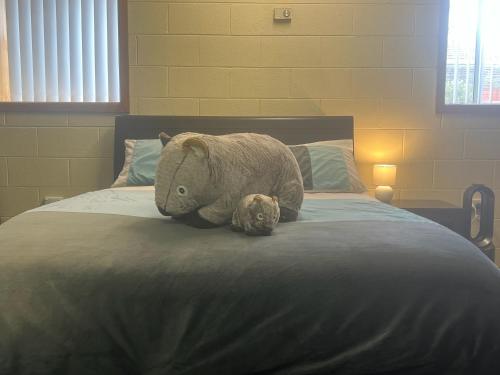 a stuffed teddy bear sitting on top of a bed at Wombats Den A warm and cosy semi underground retreat in Howrah