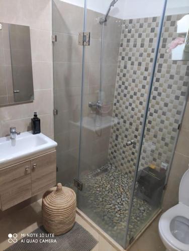 a bathroom with a shower with a sink and a toilet at Appartement moderne F3 tout neuf in Marrakech