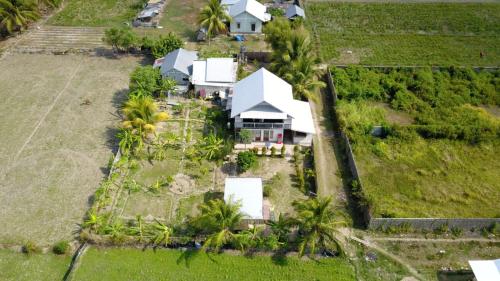 - une vue aérienne sur une maison blanche avec des palmiers dans l'établissement The Daun Puntik HomeStay, à Pawenang