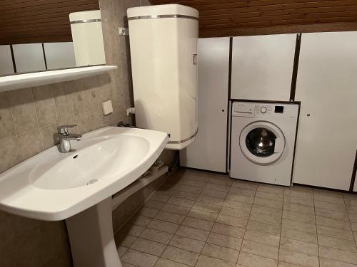 ein Badezimmer mit einem Waschbecken und einer Waschmaschine in der Unterkunft Apartment Vogelsinger in Ossiach