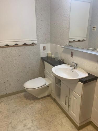 a bathroom with a toilet and a sink at At The Beach in Stevenston