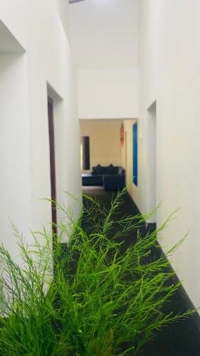Gallery image of TEARAMB HOLIDAY BUNGALOW in Otalawa