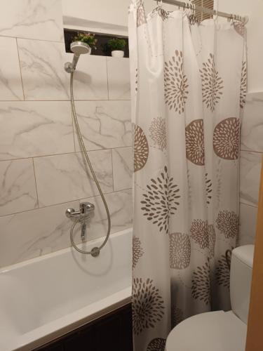a bathroom with a shower curtain and a toilet at Park Apartment in Ventspils