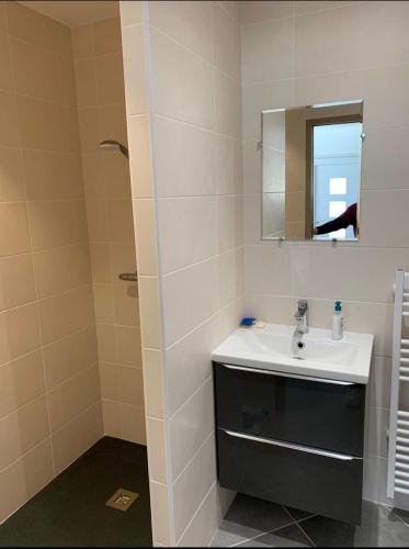 une salle de bain avec un lavabo et un miroir dans l'établissement Appartement Orelle/Val Thorens, à Orelle