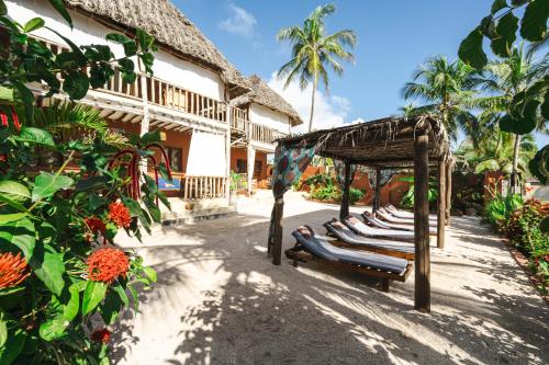 a row of lounge chairs in front of a building at Shanuo Beach Bungalows in Michamvi