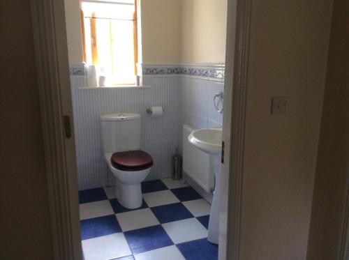 ein Bad mit einem WC und einem Waschbecken in der Unterkunft Lough Rynn Rental in Mohill
