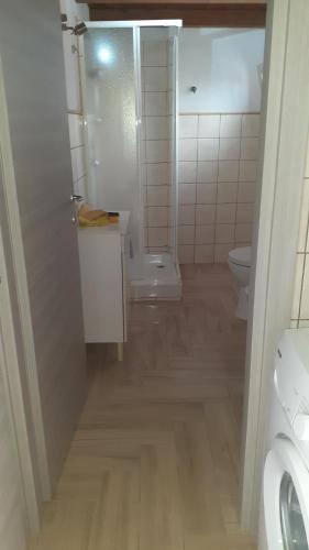 ein Bad mit einer Dusche und einem WC. in der Unterkunft Casa Arborea in Marrùbiu