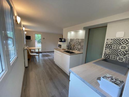 une cuisine avec un évier et un plan de travail dans l'établissement Appartements Barcelonnette, à Barcelonnette