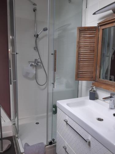 a bathroom with a sink and a shower at Nid douillet au cœur du vignoble alsacien in Kintzheim