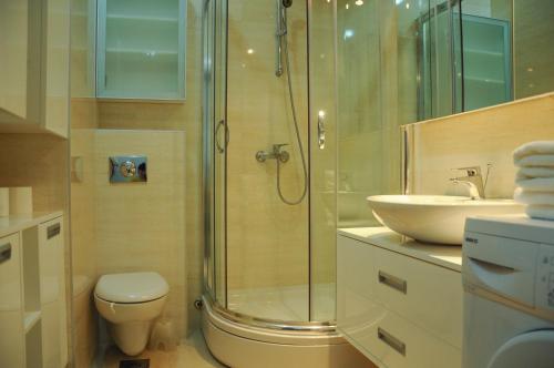 a bathroom with a shower and a toilet and a sink at Andreja Apartment in Budva