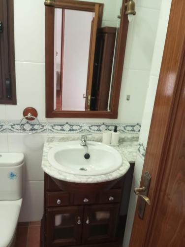 a bathroom with a sink and a mirror and a toilet at VILLA BILBILIS con piscina privada, barbacoa y parking in Linares