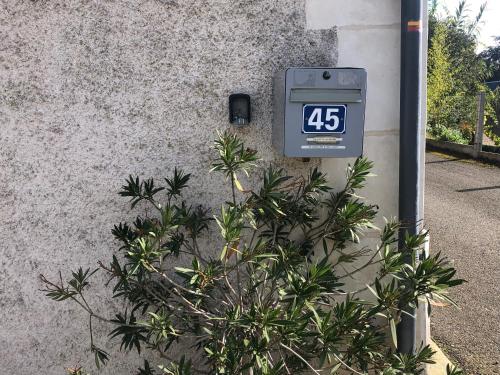 a clock on the side of a wall next to a plant at La cav ô lauriers in Lunay