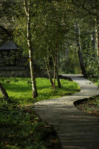 einen Weg in einem Park mit Bäumen und Gras in der Unterkunft Auksinio elnio dvaras in Telšiai