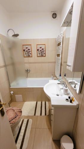 a bathroom with a sink and a tub and a toilet at Patak apartman in Eger