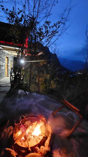 Shale Hause