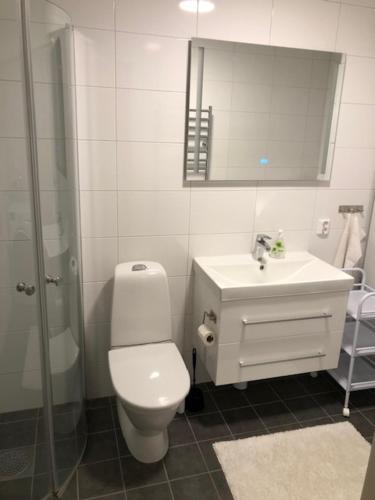 a bathroom with a toilet and a sink and a shower at Semi-detached house with lakeview in Tällberg 6 beds in Tällberg