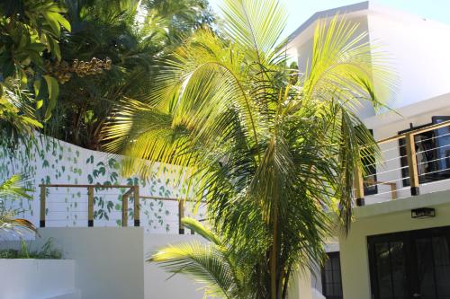 Un jardín fuera de The Serene House Bed & Breakfast