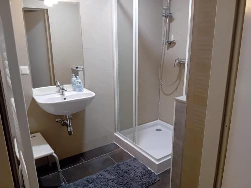 Vannituba majutusasutuses Klosterappartment