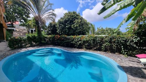 a swimming pool in the yard of a house at Villa Des Remparts in Sainte-Marie