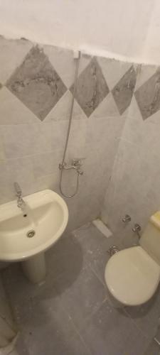 y baño con aseo y lavamanos. en Sengr Tod, en Asuán