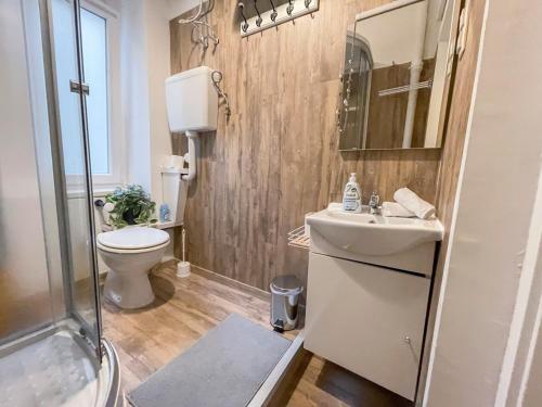 W łazience znajduje się toaleta, umywalka i prysznic. w obiekcie Free Parking, Downtown Apartment near New York Cafe w Budapeszcie