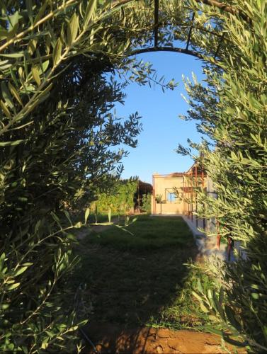 a view of a garden through an archway at Auberge chez hammadi in Zagora