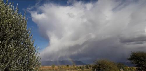 a rainbow in a cloudy sky with trees in a field at Auberge chez hammadi in Zagora