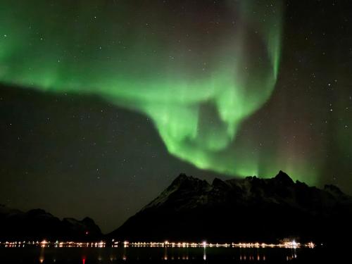 an image of the aurora dancing in the sky at Sildpollnes Lodge in Laupstad