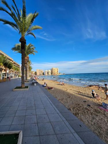 Аcogedor apartamento de dos dormitorios en torrevieja