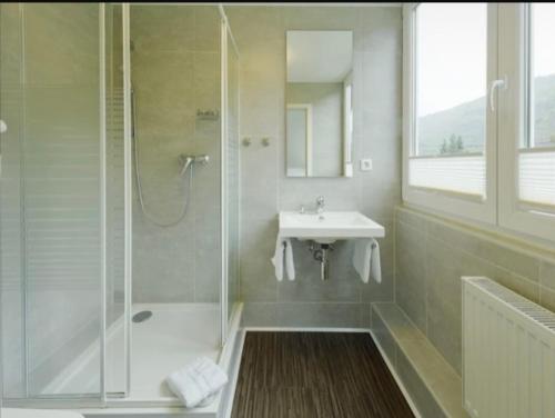 a bathroom with a shower and a sink at Landhauskiebel in Erden