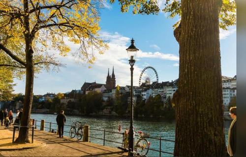 a street light next to a river with a ferris wheel at Schweiz (302) in Basel