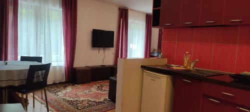 a kitchen with a sink and a table in a room at Complex Adela Transfăgărășan in Cîrţişoara