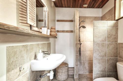 a bathroom with a sink and a shower and a toilet at "Albatros" Knus huisje op Texel in De Koog