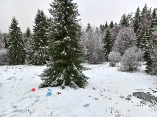 a christmas tree in the snow next to a tent at Fritidshus Hammare Hagfors in Hagfors