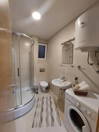 a bathroom with a shower toilet and a sink at Apartman Pale - Biljana in Pale