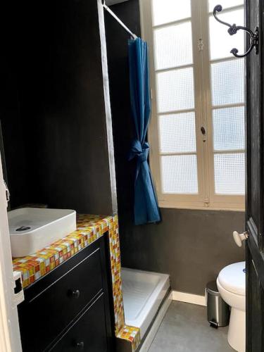 a bathroom with a toilet and a blue shower curtain at Maison de caractère avec jardin arboré en Avignon in Avignon