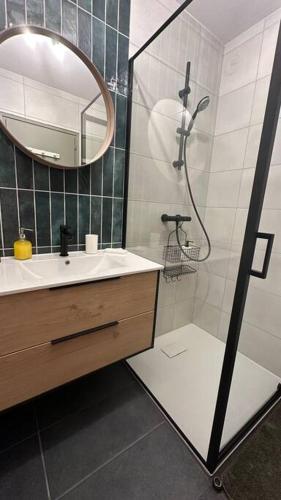 une salle de bain avec une douche, un lavabo et un miroir dans l'établissement Destination Léman, à Thonon-les-Bains