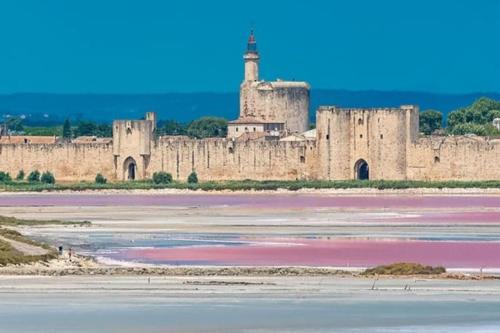 a castle with pink water in front of it at Studio en Petite Camargue in Le Cailar