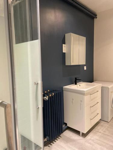 La salle de bains est pourvue d'un lavabo, de toilettes et d'un radiateur. dans l'établissement Historic hyper-center Bourges, à Bourges