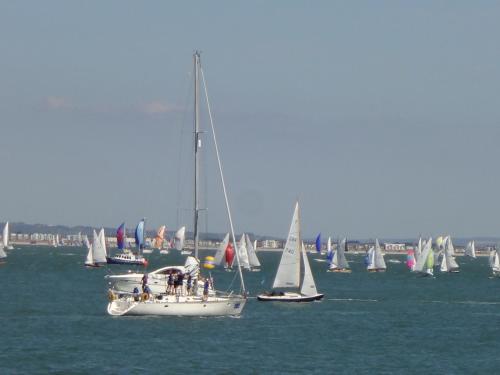 a group of sailboats in a large body of water at Driftwood Heart in Freshwater